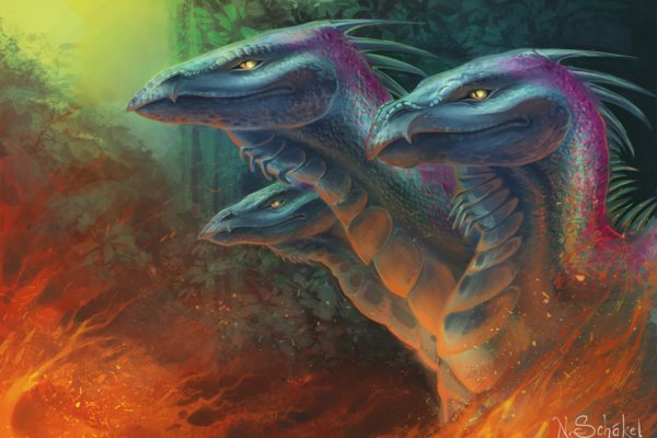Kraken 17at