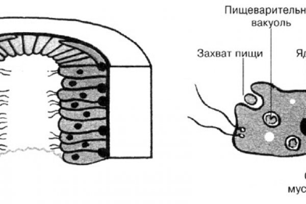 Главная страница кракен