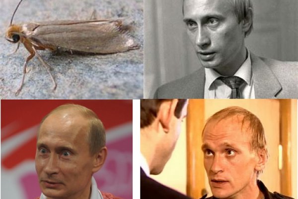 Кракен актуальные