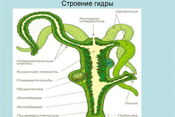 2krn cc официальный