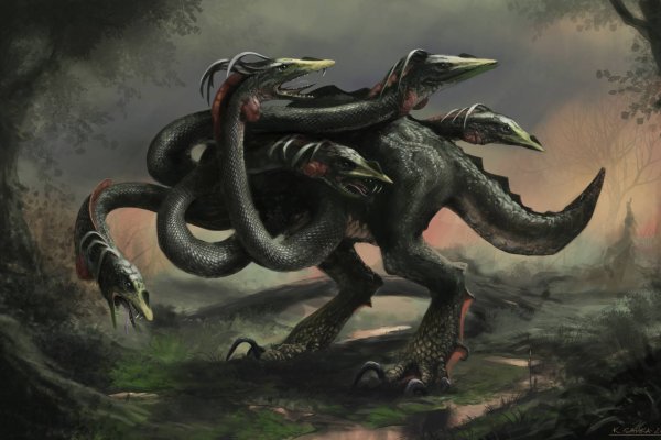 Kraken 23 at