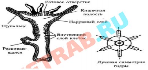 Кракен безопасный вход