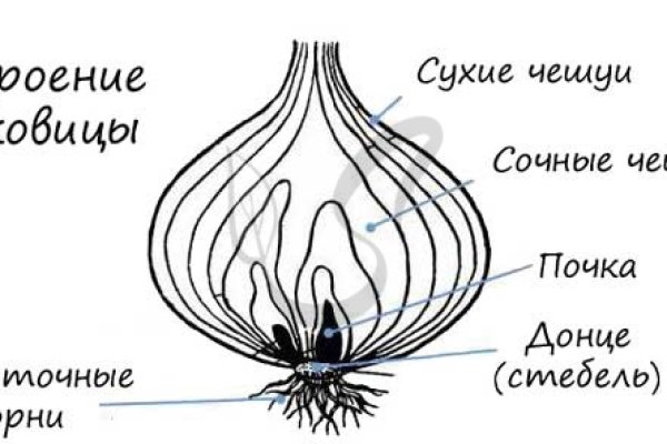 Кракен правила площадки