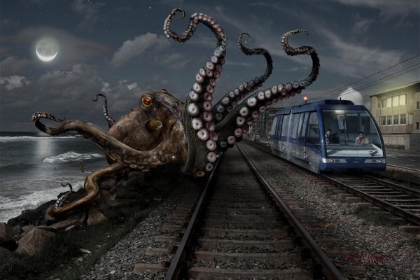 Kraken13at