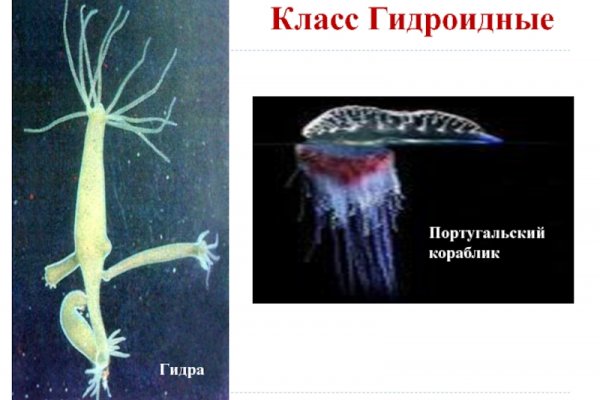 Ссылка на кракен 11