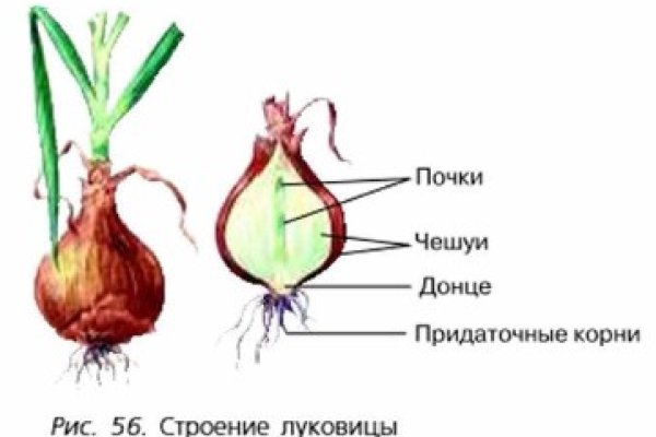 Kraken адрес