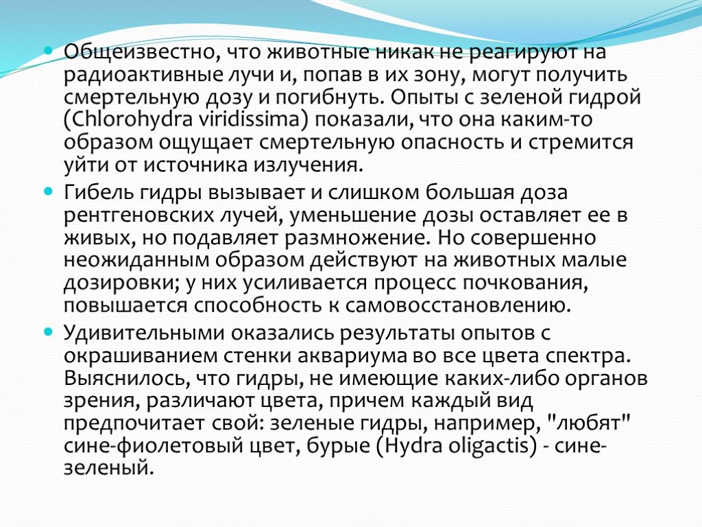Кракен официальный сайт онион
